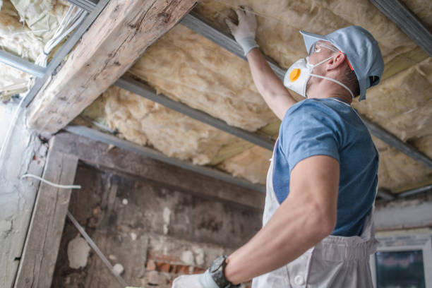 Best Eco-Friendly Insulation in Al Creek, CO