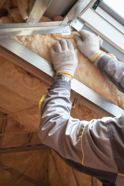 Best Geographic-Specific Insulation Services in Al Creek, CO
