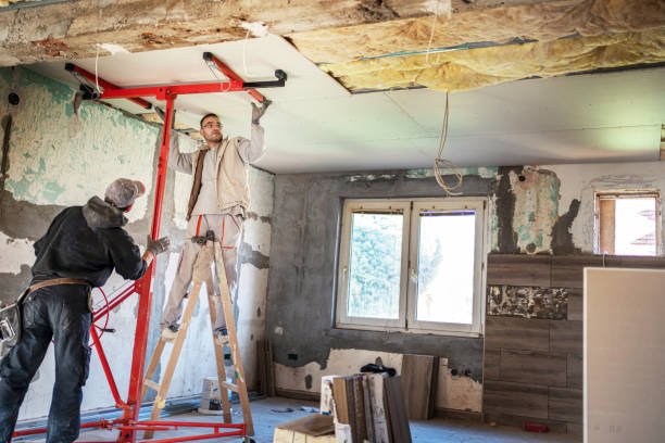 Best Insulation for Specific Applications in Al Creek, CO